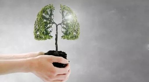 5bdc0334c3ee0.jpg 640.jpg