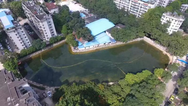 5c1c5eb9bc354.jpg 4.jpg